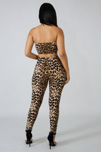 Load image into Gallery viewer, Kitty Kat Cheetah Set